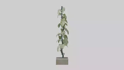 Plant Spiral Sculpture model VR / AR / low-poly