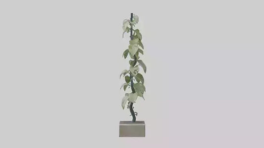Plant Spiral Sculpture model VR / AR / low-poly