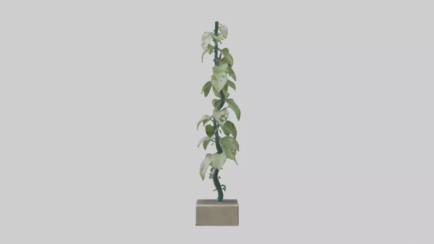 Plant Spiral Sculpture model VR / AR / low-poly