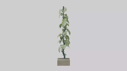 Plant Spiral Sculpture model VR / AR / low-poly