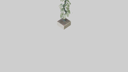 Plant Spiral Sculpture model VR / AR / low-poly