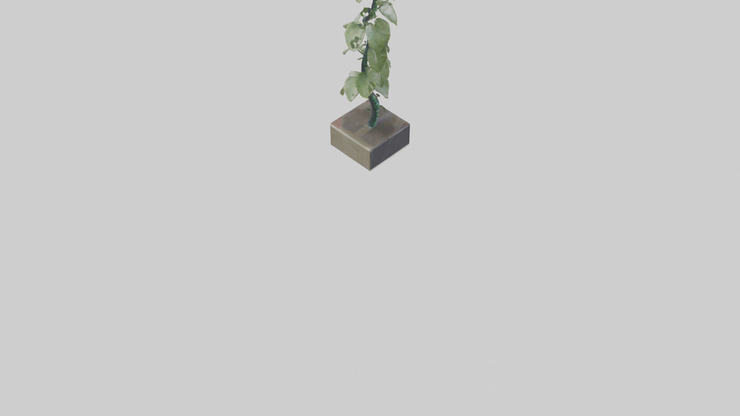 Plant Spiral Sculpture model VR / AR / low-poly