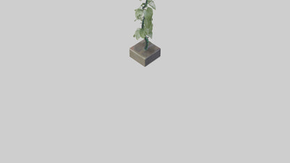 Plant Spiral Sculpture model VR / AR / low-poly