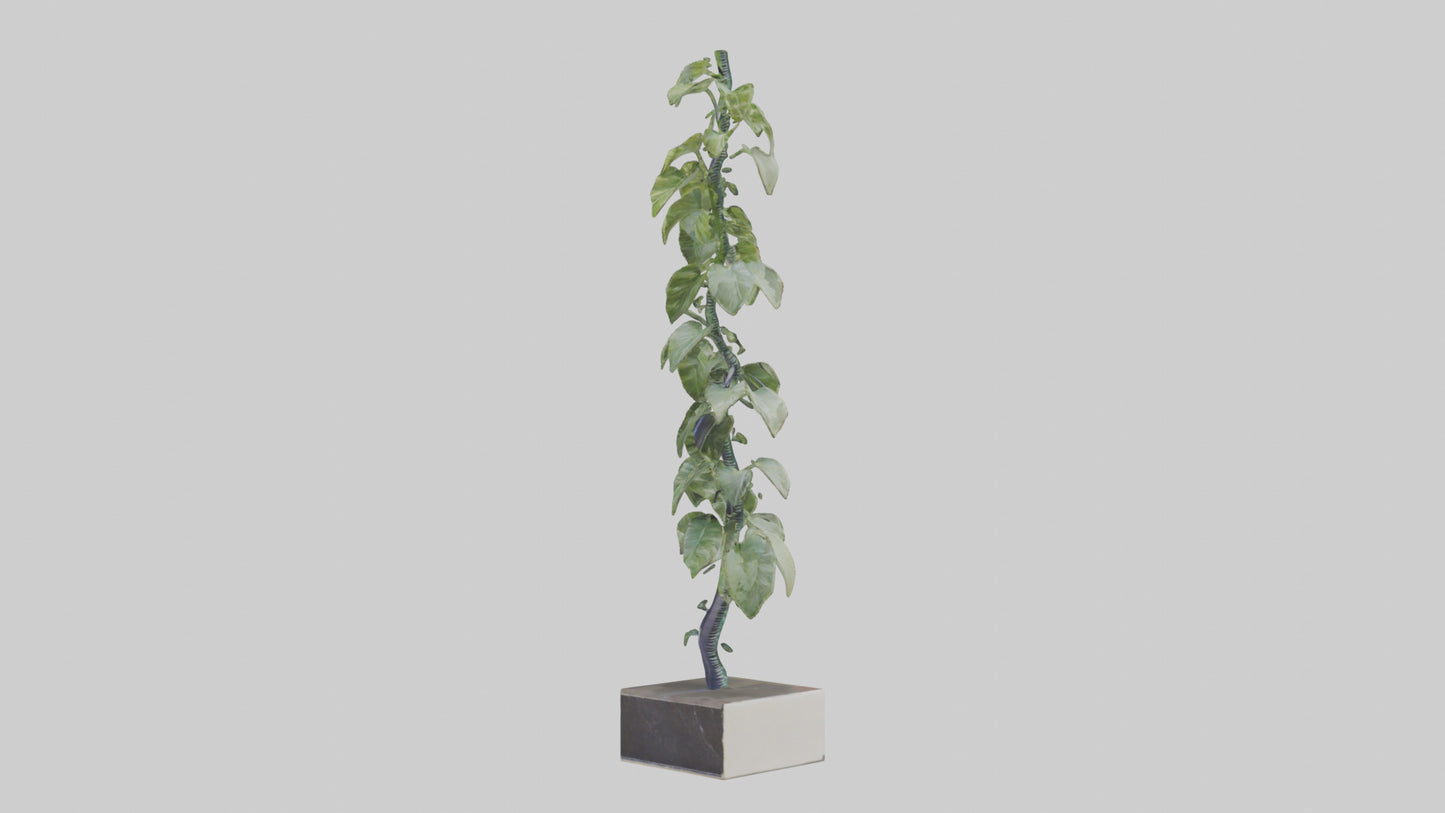 Plant Spiral Sculpture model VR / AR / low-poly
