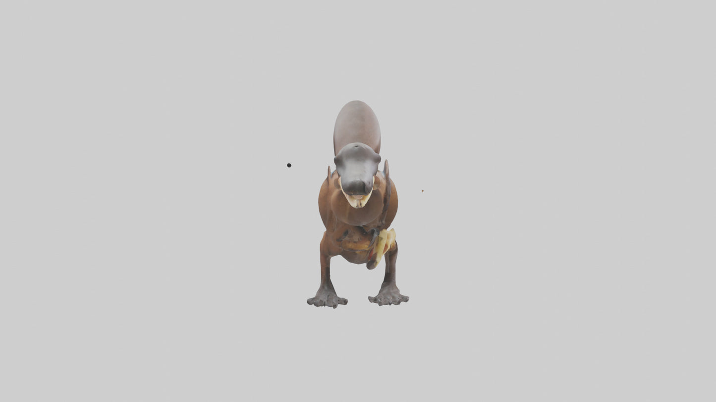 Platypus Bill 3D model
