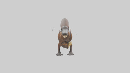 Platypus Bill 3D model