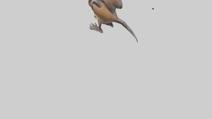 Platypus Bill 3D model