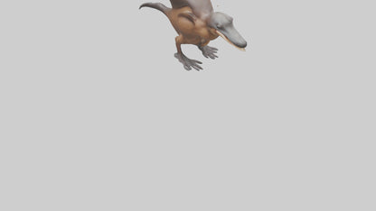 Platypus Bill 3D model