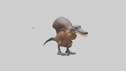 Platypus Bill 3D model