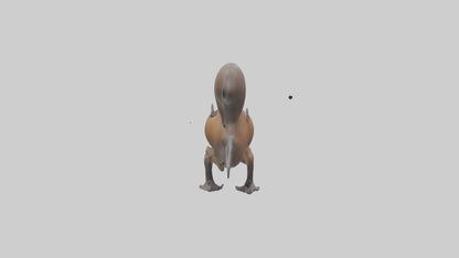 Platypus Bill 3D model