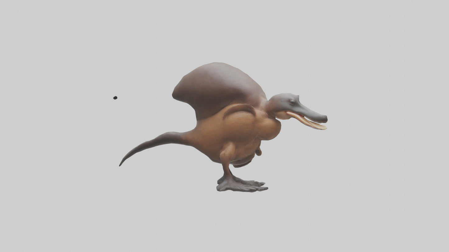 Platypus Bill 3D model