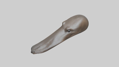 Platypus Bill 3D model
