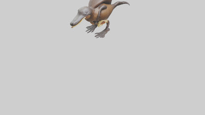 Platypus Bill 3D model