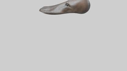 Platypus Bill 3D model