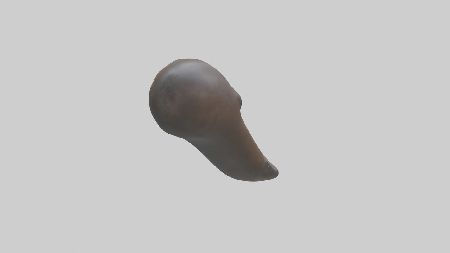 Platypus Bill 3D model