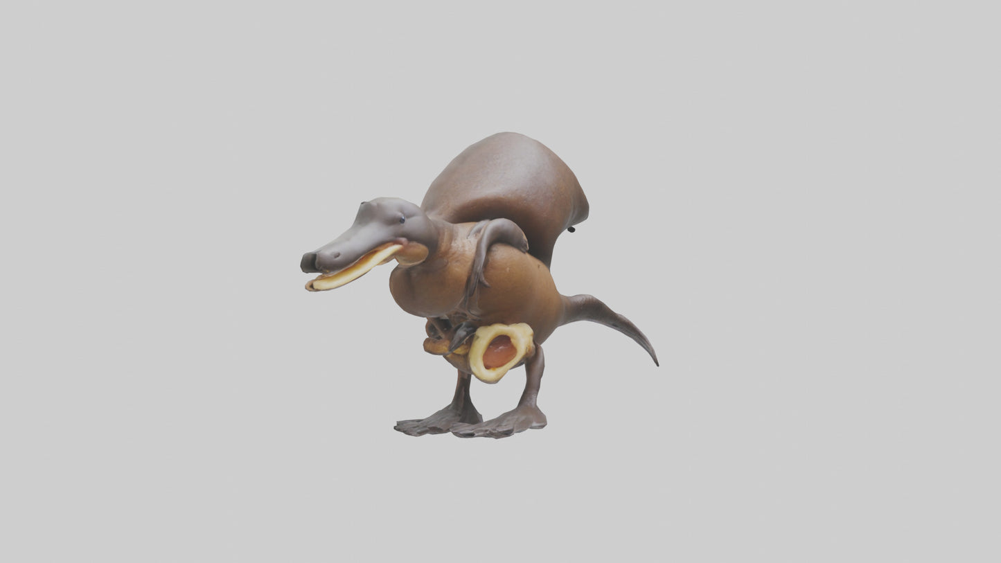 Platypus Bill 3D model