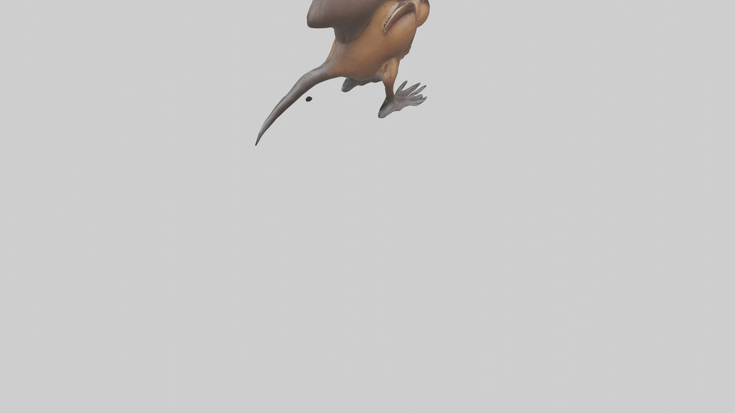 Platypus Bill 3D model