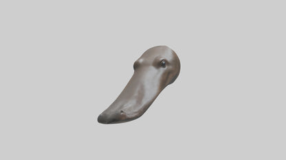 Platypus Bill 3D model
