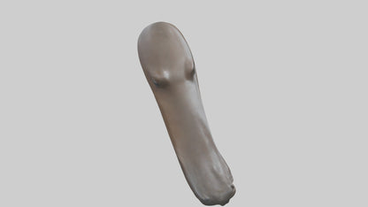 Platypus Bill 3D model