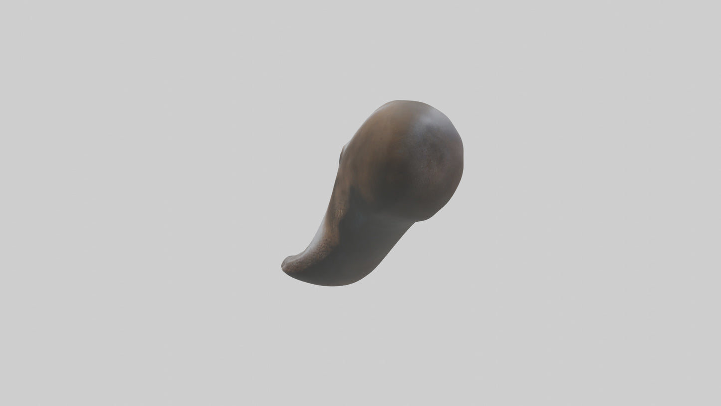 Platypus Bill 3D model