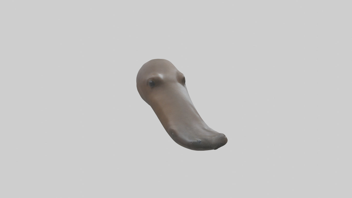 Platypus Bill 3D model
