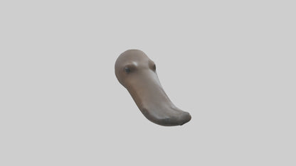Platypus Bill 3D model