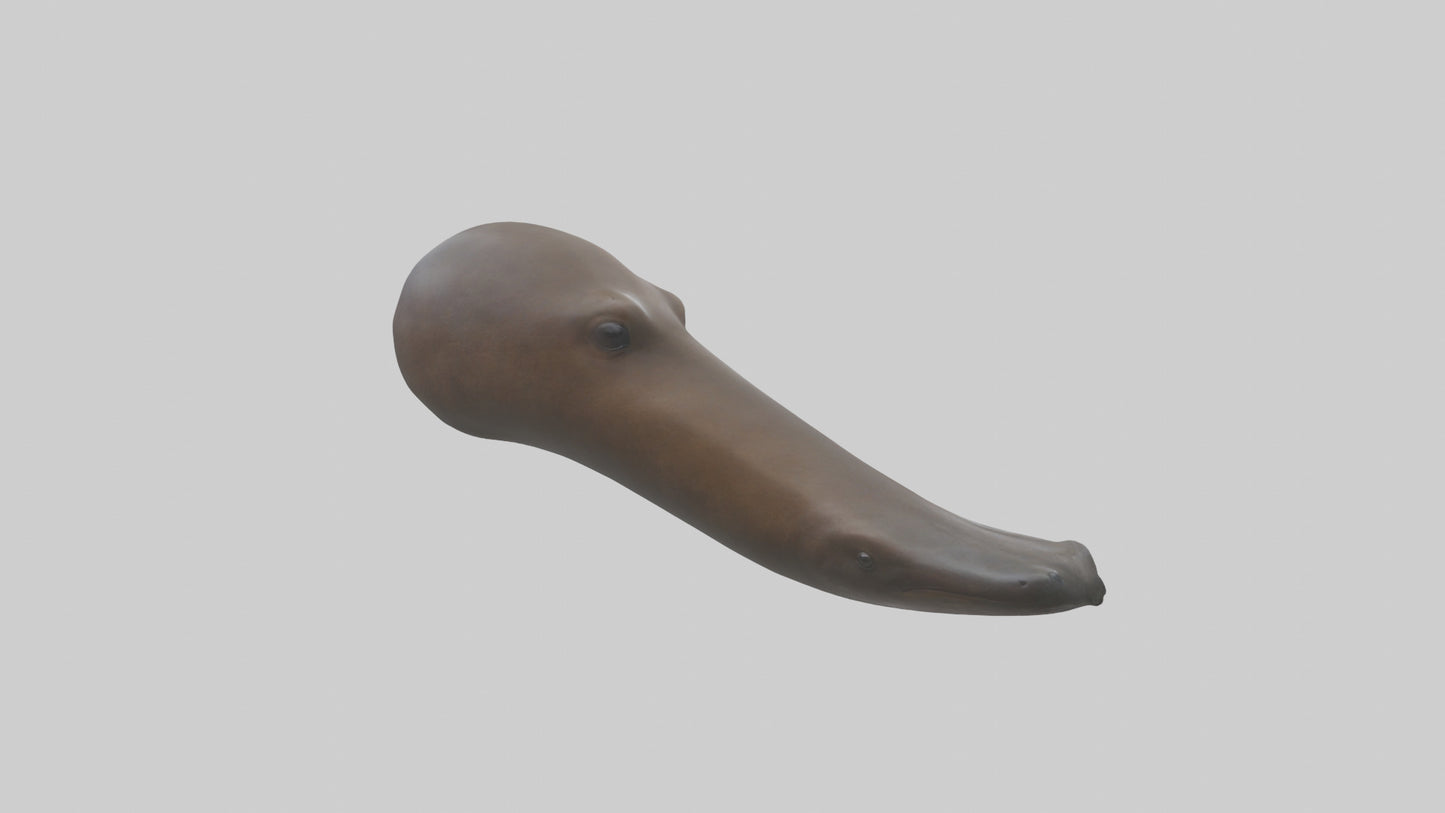 Platypus Bill 3D model