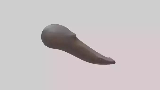 Platypus Bill 3D model