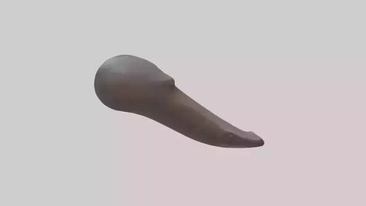 Platypus Bill 3D model
