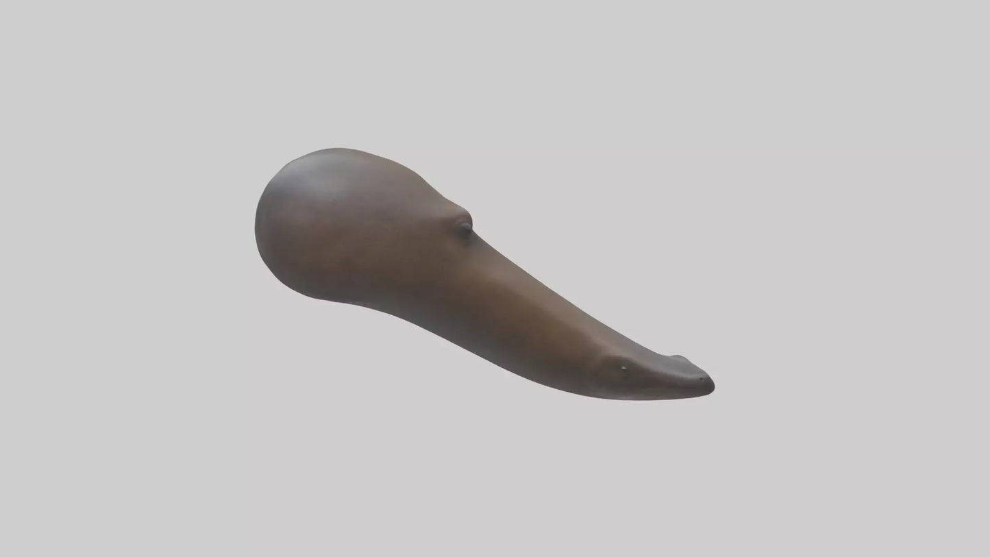 Platypus Bill 3D model