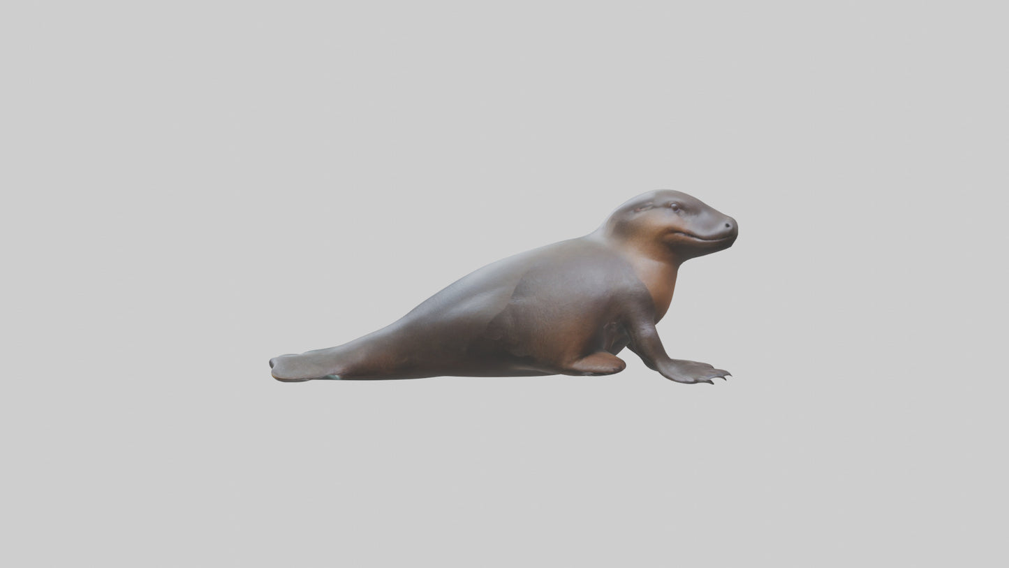3D model Platypus sitting model VR / AR / low-poly