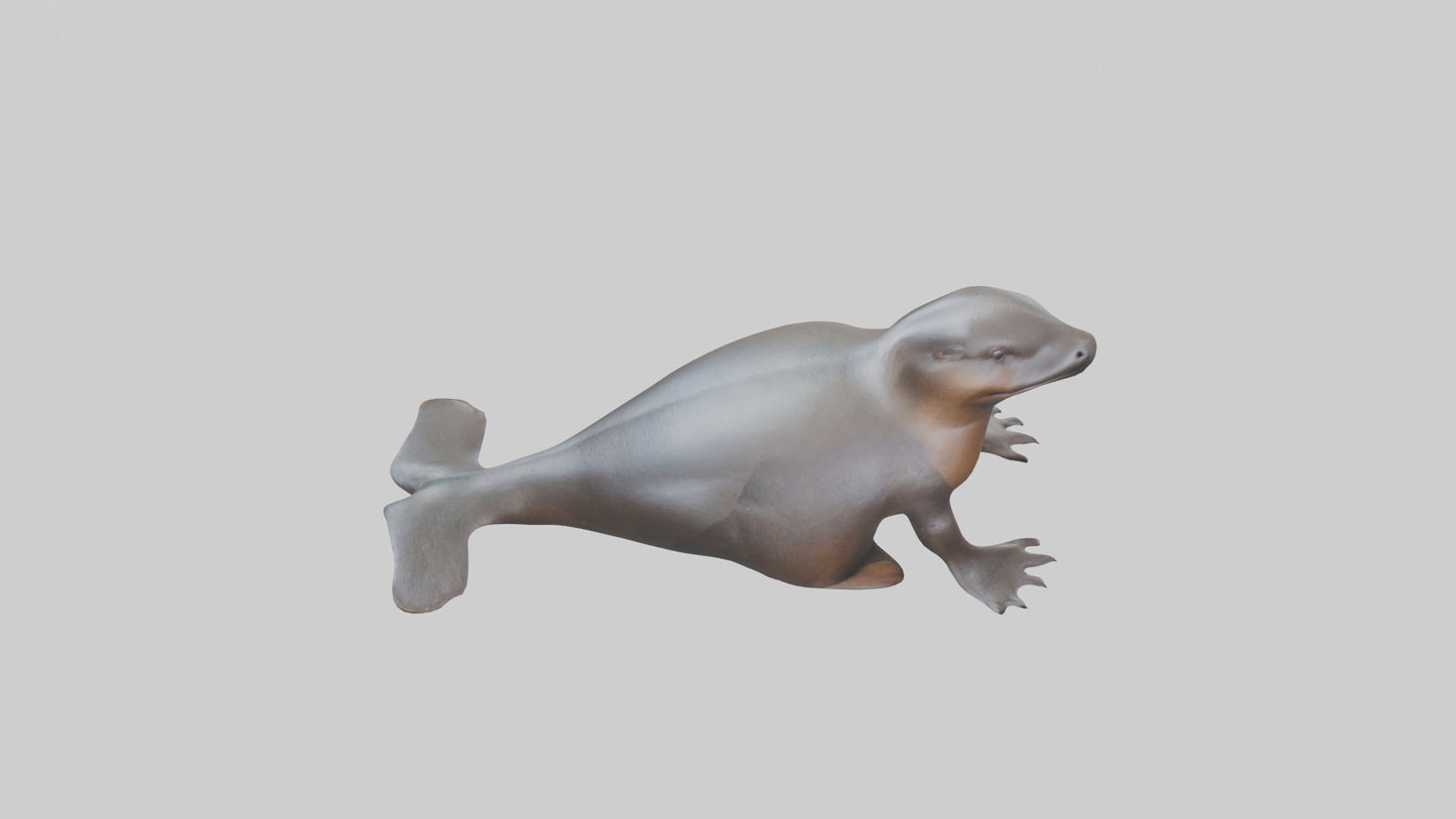 3D model Platypus sitting model VR / AR / low-poly
