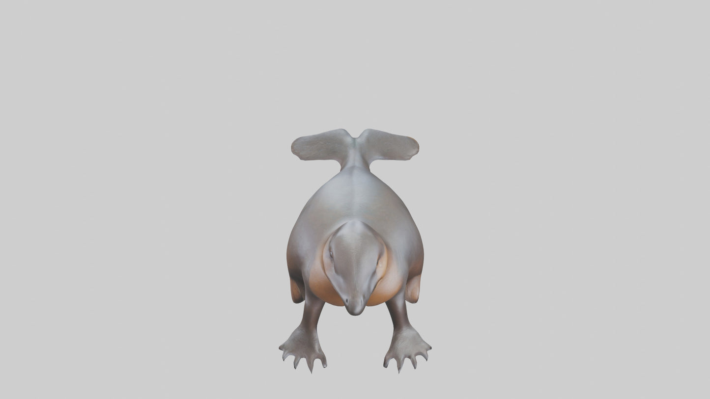 3D model Platypus sitting model VR / AR / low-poly