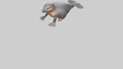 3D model Platypus sitting model VR / AR / low-poly
