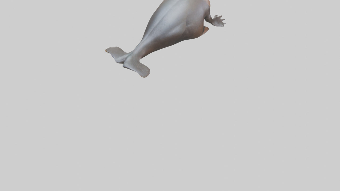 3D model Platypus sitting model VR / AR / low-poly