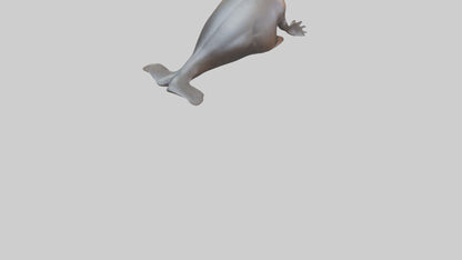 3D model Platypus sitting model VR / AR / low-poly