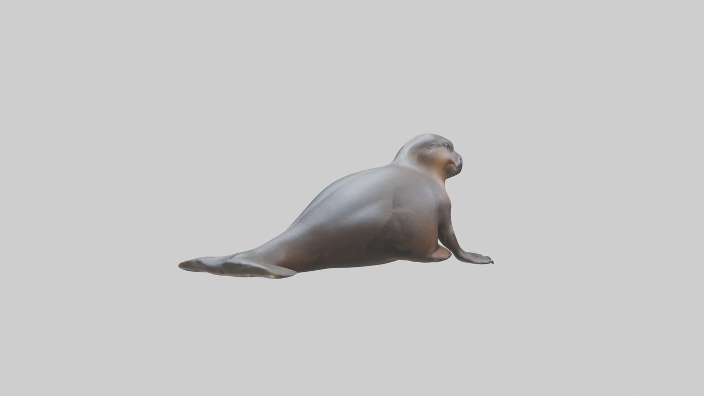 3D model Platypus sitting model VR / AR / low-poly