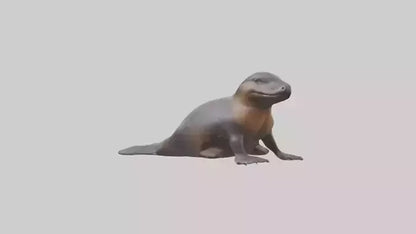 3D model Platypus sitting model VR / AR / low-poly