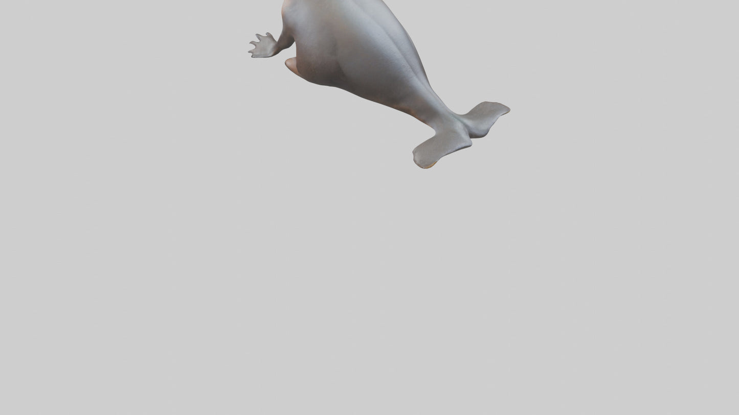 3D model Platypus sitting model VR / AR / low-poly