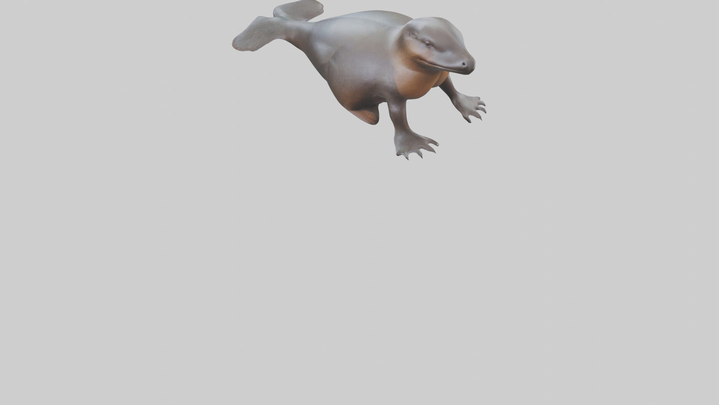 3D model Platypus sitting model VR / AR / low-poly