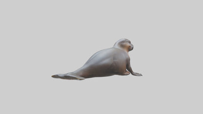 3D model Platypus sitting model VR / AR / low-poly
