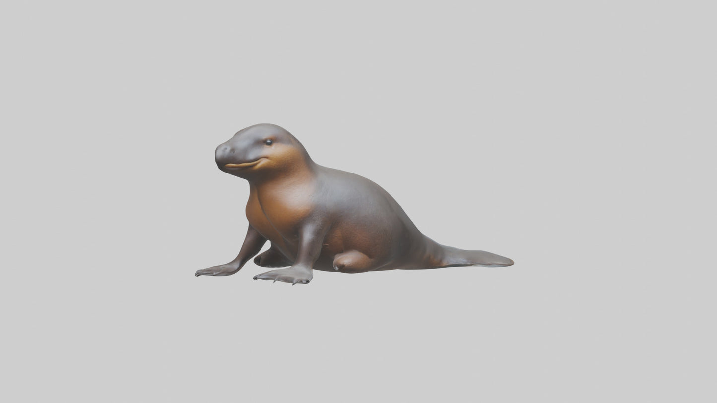 3D model Platypus sitting model VR / AR / low-poly