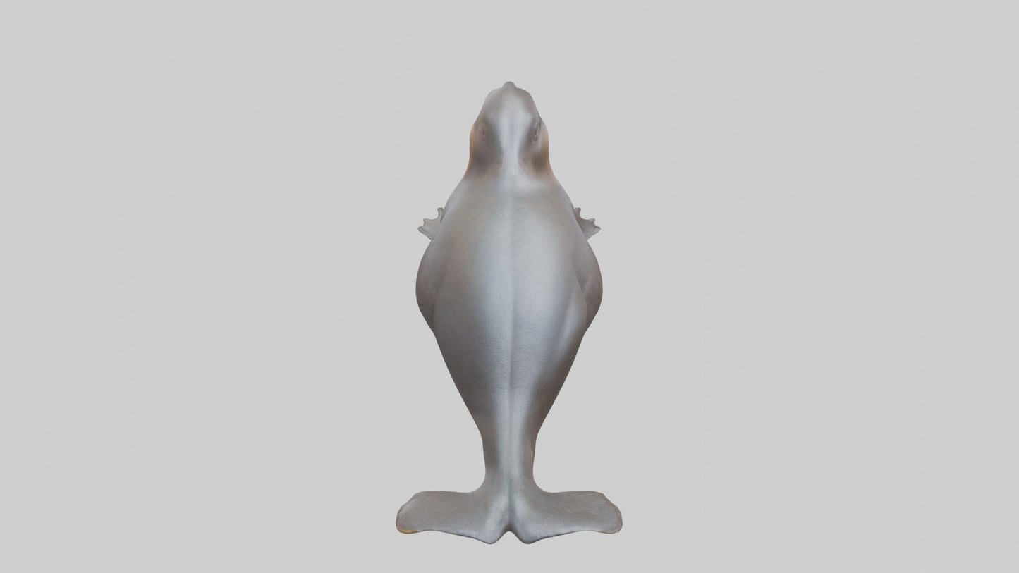 3D model Platypus sitting model VR / AR / low-poly