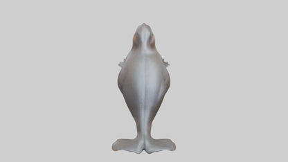 3D model Platypus sitting model VR / AR / low-poly