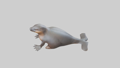 3D model Platypus sitting model VR / AR / low-poly