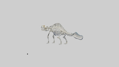 3D model Plesiosaur Skeleton model VR / AR / low-poly