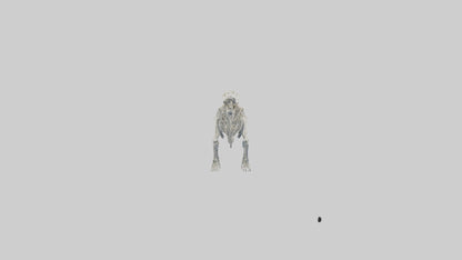 3D model Plesiosaur Skeleton model VR / AR / low-poly