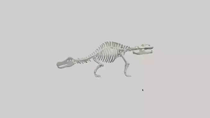 3D model Plesiosaur Skeleton model VR / AR / low-poly