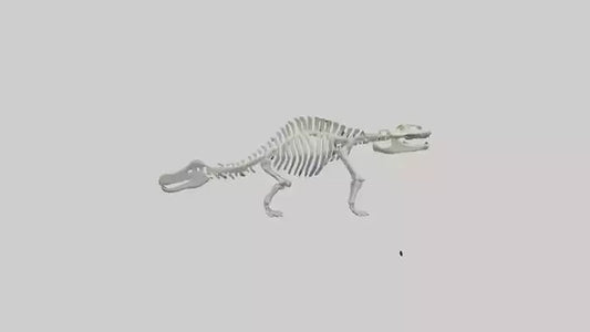 3D model Plesiosaur Skeleton model VR / AR / low-poly