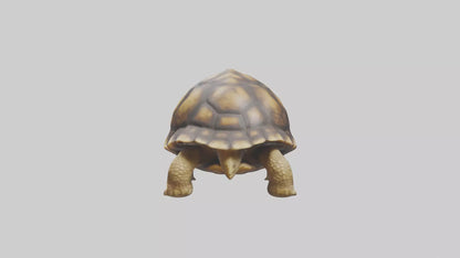 3D model Plowshare Tortoise walking model VR / AR / low-poly